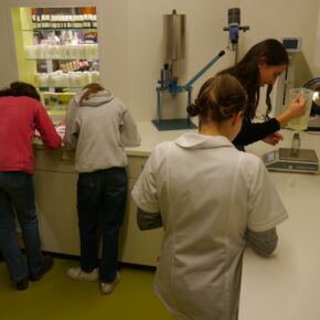 2. Lehrstellenparcours 2024 (125).jpg